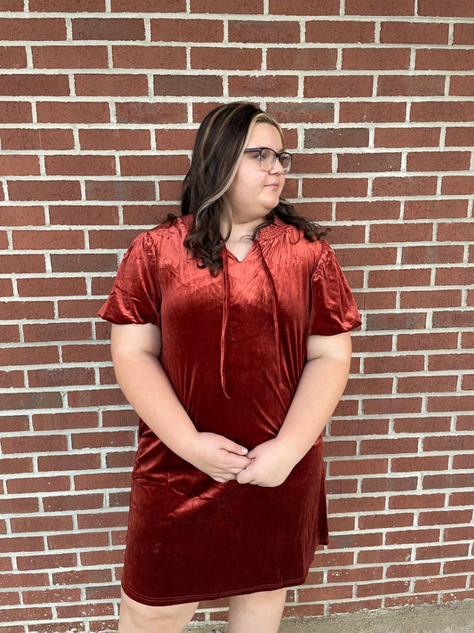 Velvet Rust Dress